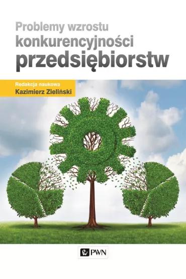 Problemy wzrostu konkurencyjno�ci przedsi�biorstw - Kazimierz Zieli�ski