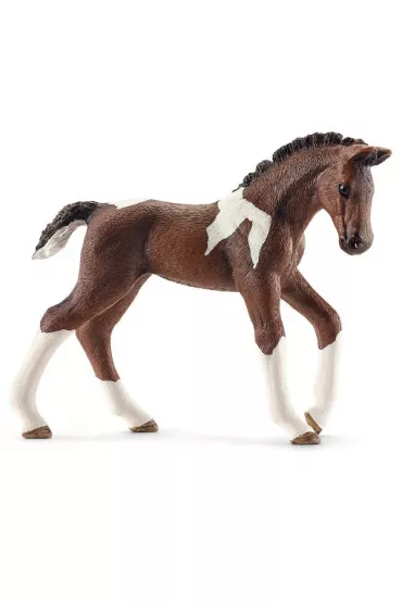 �rebi� rasy Trakehner