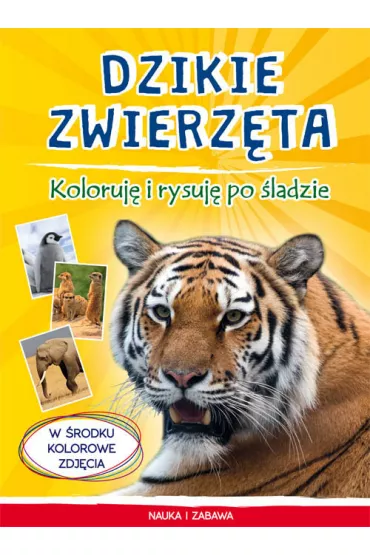 Dzikie zwierz�ta Koloruj� i rysuj� po �ladzie - Monika My�lak