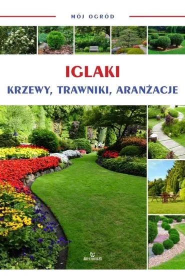 M�j ogr�d Iglaki krzewy drzewa trawy