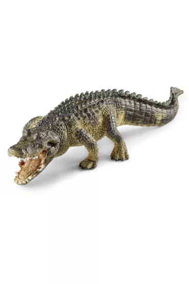 Aligator