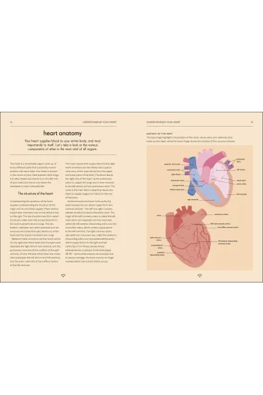 Heart. An Owner's Guide - Paddy Barrett
