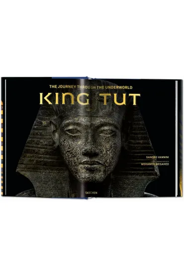 King Tut. The Journey through the Underworld wer. angielska - Vannini Sandro