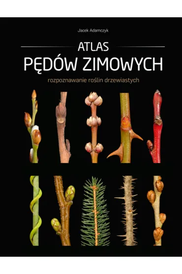 Atlas p�d�w zimowych - Jacek Adamczyk