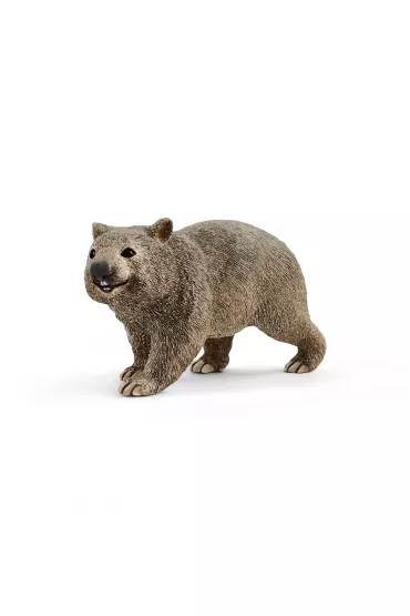 Wombat
