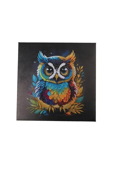 Epee Obraz na p��tnie z mozaik� Sowa 30x30cm