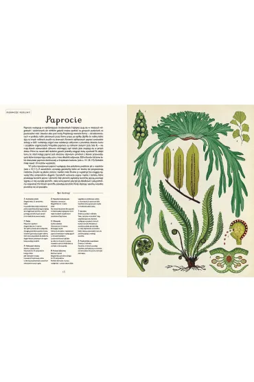 Botanicum. Muzeum Ro�lin - Kathy Willis