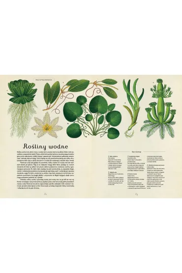 Botanicum. Muzeum Ro�lin - Kathy Willis