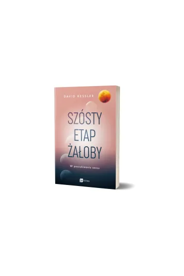 Sz�sty etap �a�oby. W poszukiwaniu sensu - David Kessler