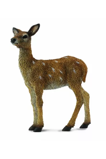 Jelonek