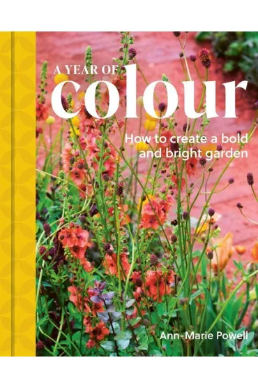 A Year of Colour - Ann Marie Powell