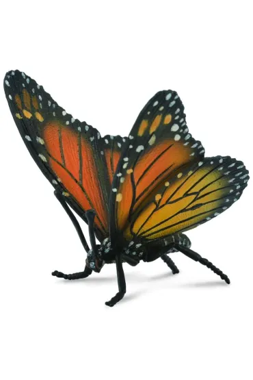 Motyl kr�lewski