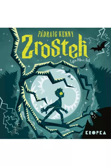 Audiobook Zrostek mp3 - Padraig Kenny