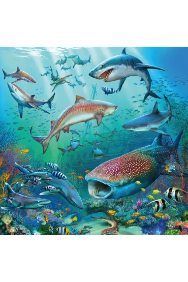 Puzzle 3x49 el. Podwodne �ycie Ravensburger