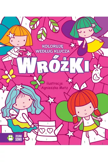 Koloruj� wed�ug klucza. Wr�ki (6+) - Agnieszka Matz