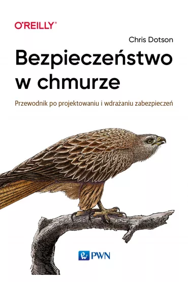 Bezpiecze�stwo w chmurze - Chris  Dotson
