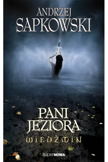 eBook Wiedmin. Pani Jeziora epub - Andrzej Sapkowski