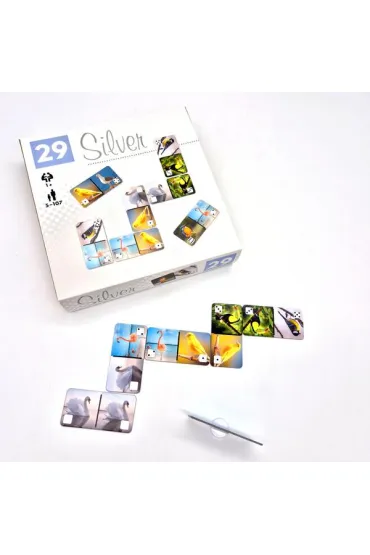 Silver Domino Ptaki