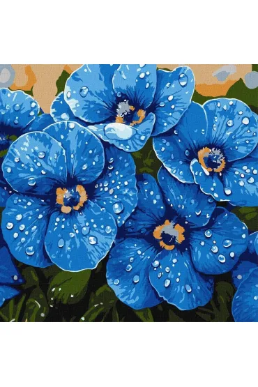 Ideyka Malowanie po numerach - Fio�ki w rosie 40x40cm
