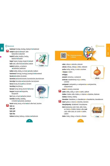 S�owniczek ortograficzny. Edukacja wczesnoszkolna. Klasy 1-3 - Danuta Kownacka, Bo�ena  Drzycimska