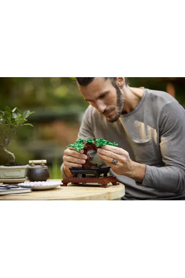 LEGO ICONS Drzewko bonsai 10281
