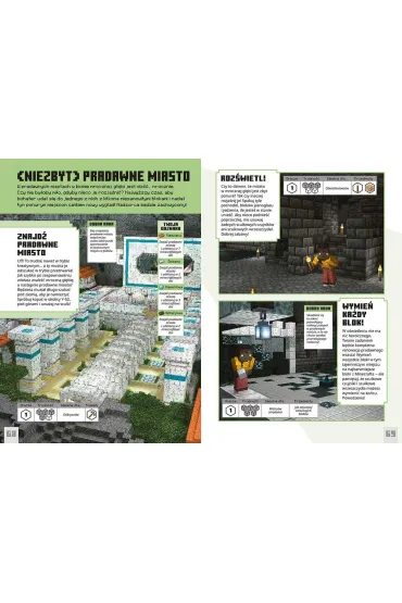 Minecraft. Wyzwanie przetrwanie. Zosta� bohaterem - Tom Stone