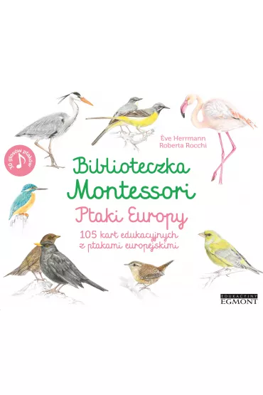 Biblioteczka Montessori. Ptaki Europy - Eve Herrmann