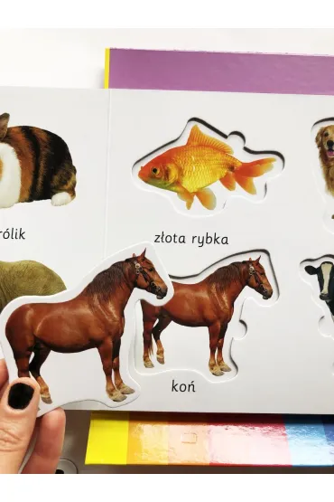 Zwierz�ta. Akademia m�drego dziecka. Kolorowy �wiat malucha