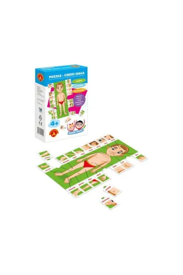 Puzzle Zabawa i nauka. Cz�ci cia�a Alexander
