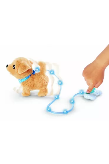 Piesek Chi Chi Love. Loomy Golden Retriever Simba