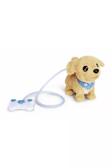 Piesek Chi Chi Love. Loomy Golden Retriever Simba