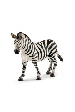 Zebra samica