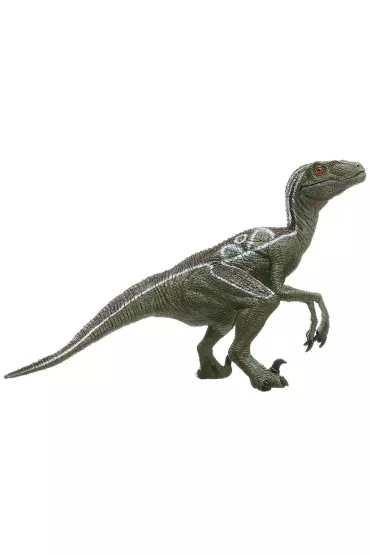Velociraptor