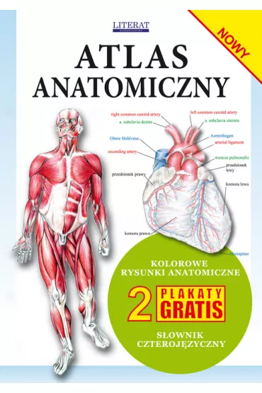 Atlas anatomiczny