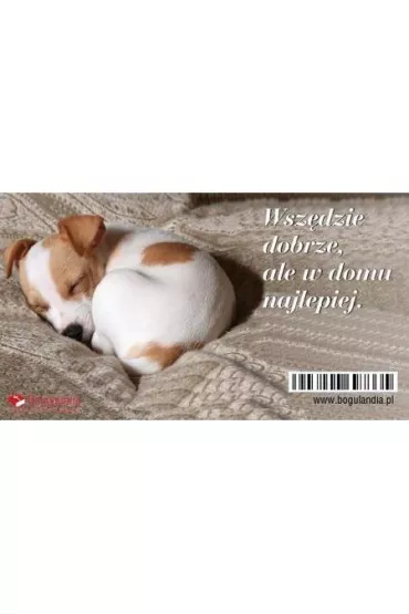 Bogulandia Magnes na lod�wk� Wsz�dzie dobrze, ale w domu