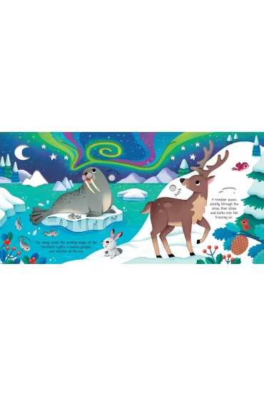 Wild Animals Sound Book wer. angielska - Sam Taplin