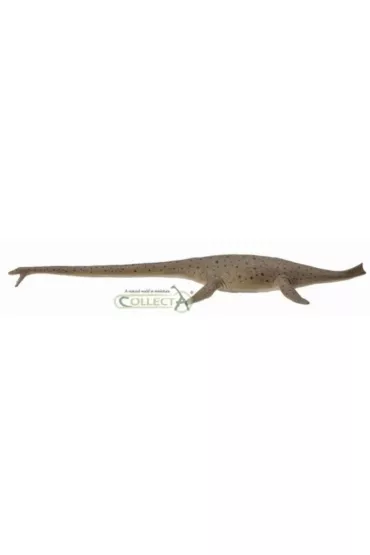 Dinozaur Thalassomedon 1:40 Deluxe