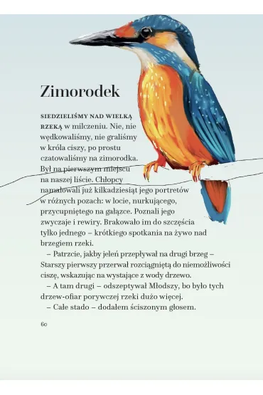 Kr�lestwo Patyk�w - Grzegorz Kowal
