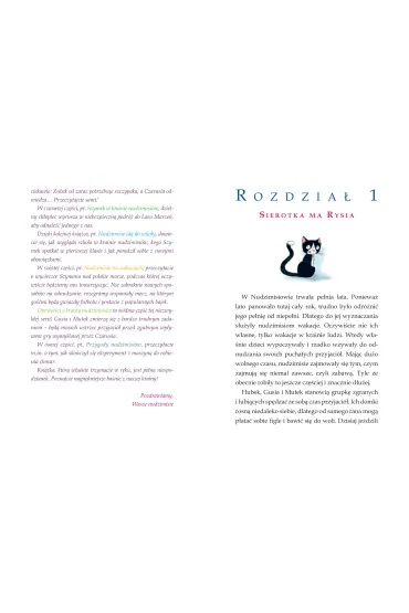 Nudzimisie -  Ba�nie z krainy nudzimisi�w - Rafa� Klimczak