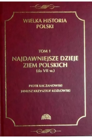 eBook Wielka historia Polski Tom 1 Najdawniejsze dzieje ziem polskich (do VII w.) pdf - Piotr Kaczanowski