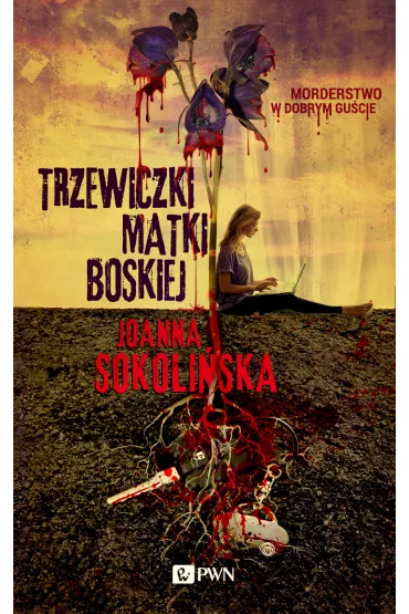 Trzewiczki Matki Boskiej - Joanna Sokoli�ska