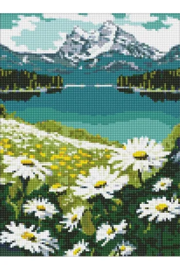 Ideyka Diamentowa mozaika - Kwitn�ce stokrotki 30x40cm