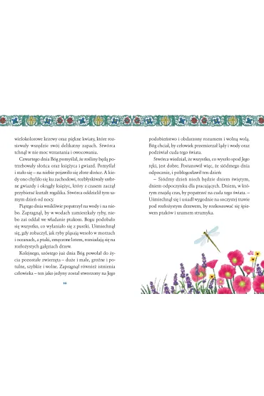 Ksi��ka B5 OP. TW Ilustrowana Biblia dla dzieci SKRZAT 79975 SK - Bo�ena  Bobrzyk-Stok�osa