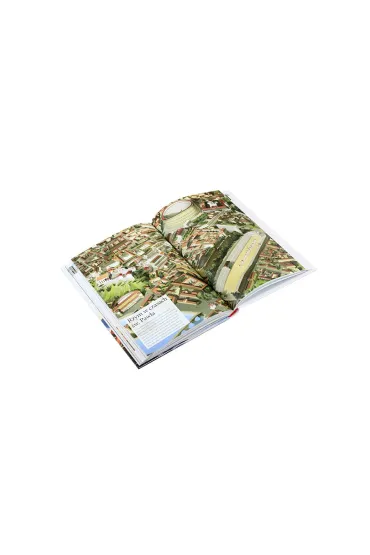 W �wiecie Biblii