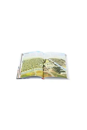 W �wiecie Biblii
