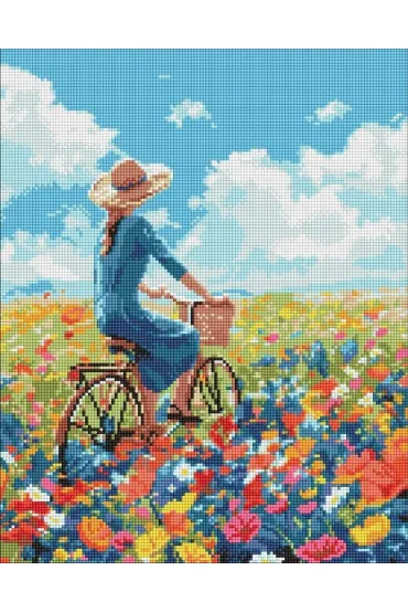 Ideyka Diamentowa mozaika - Podr� w kwiatach 40x50cm