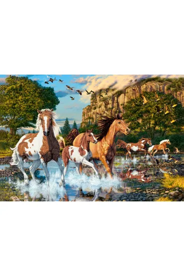 Puzzle 1000 el. Horse Wonderland Castorland