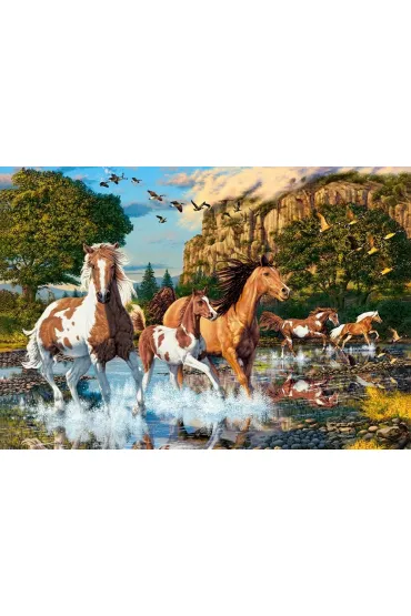 Puzzle 1000 el. Horse Wonderland Castorland