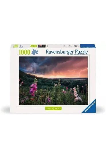 Puzzle 1000 el. Nadchodzi burza Ravensburger