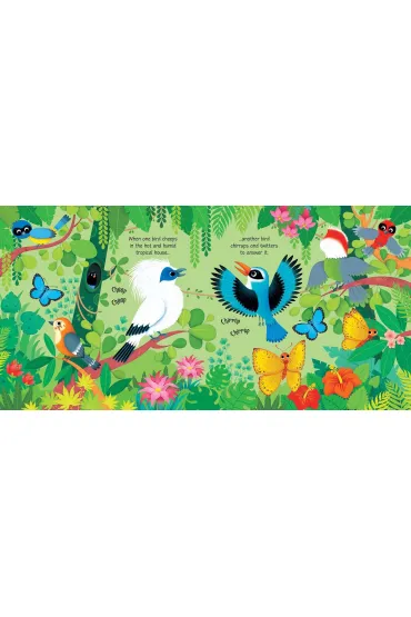 Zoo Sounds - Sam Taplin